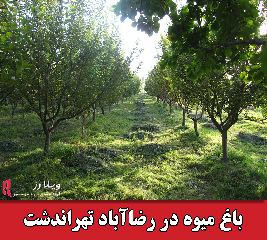 باغ میوه در رضا آباد