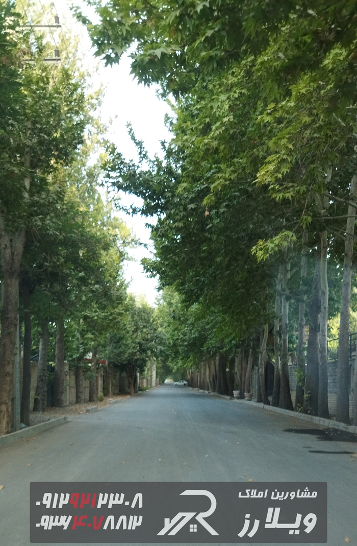 خیابان چناران در تهراندشت