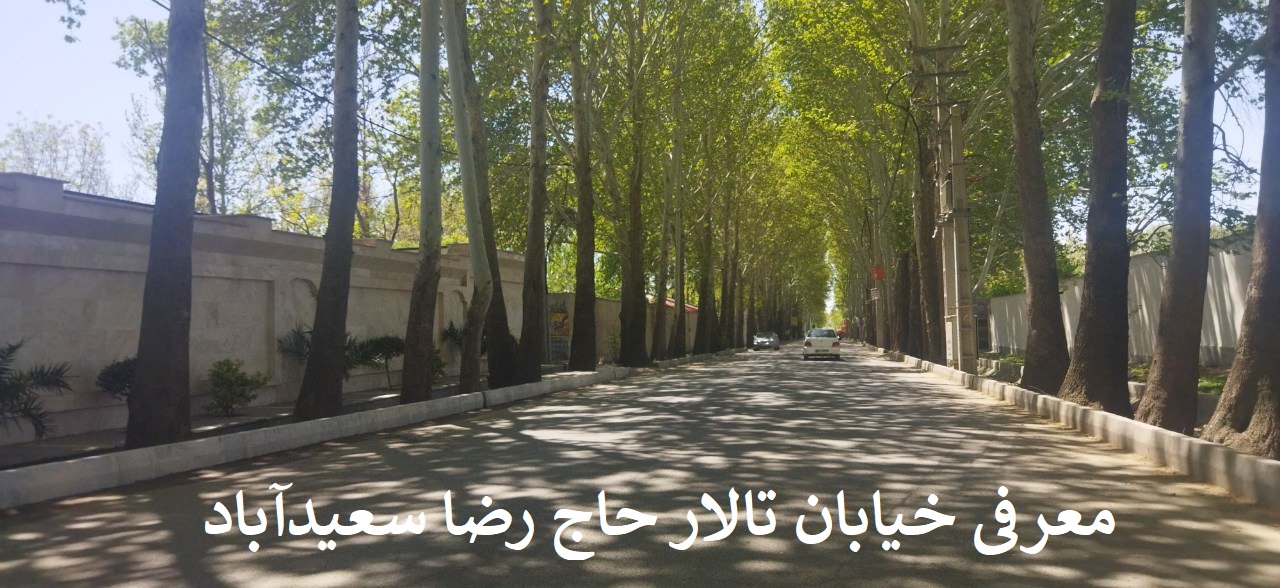 خیابان تالار حاج رضا سعیدآباد تهراندشت